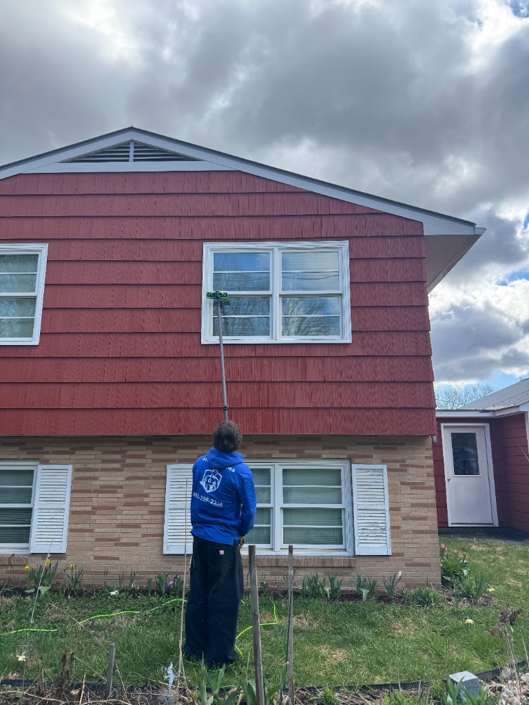 Window cleaning professional