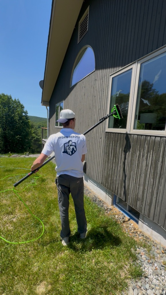 Window cleaning professional